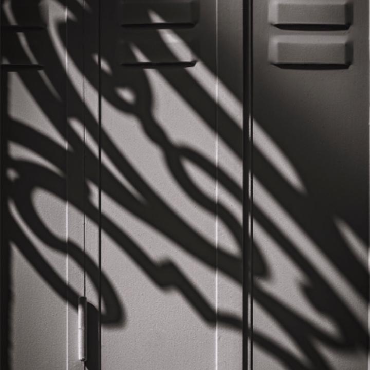 Les ombres savent